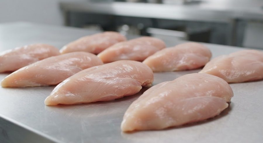 Chicken Breast Fillets — alternate view